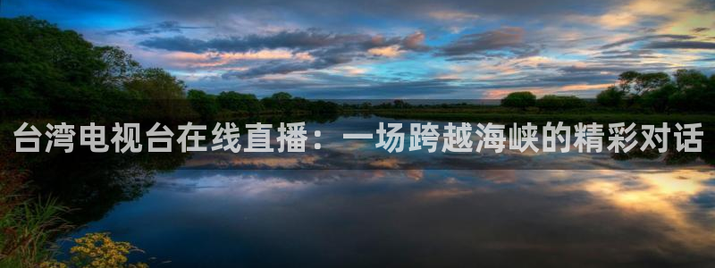 河豚的直播网：台湾电视台在线直播：一场跨越海峡的精彩对话