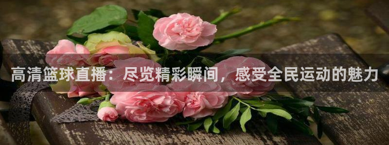 河豚体育直播app下载：高清篮球直播：尽览精彩瞬间，感受全民运动的魅力
