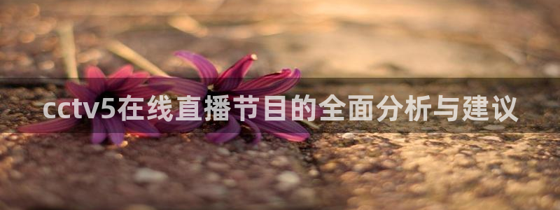 河豚nba直播：cctv5在线直播节目的全面分析与建议