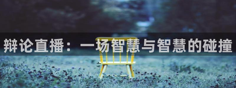 河豚的：辩论直播：一场智慧与智慧的碰撞