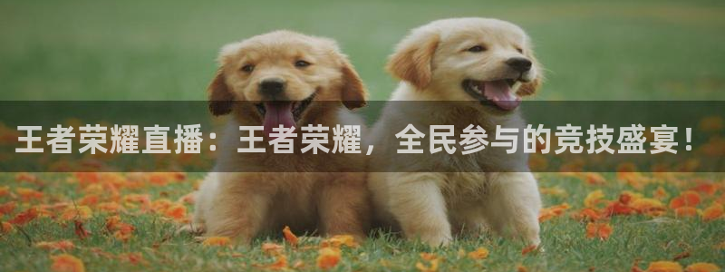 河豚体育nba直播在线观看：王者荣耀直播：王者荣耀，全民参与的竞技盛宴！