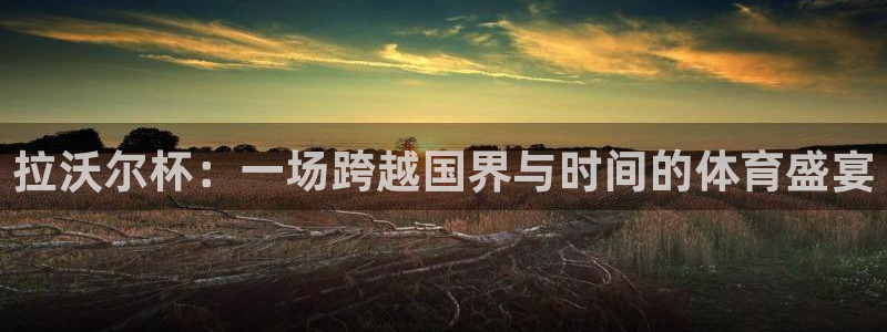 河豚篮球直播