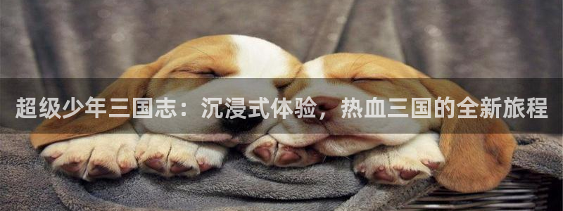 河豚tv直播：超级少年三国志：沉浸式体验，热血三国的全新旅程