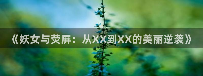 河豚篮球赛事直播