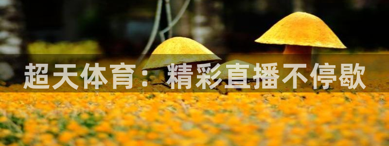 河豚体育nba在线直播：超天体育：精彩直播不停歇